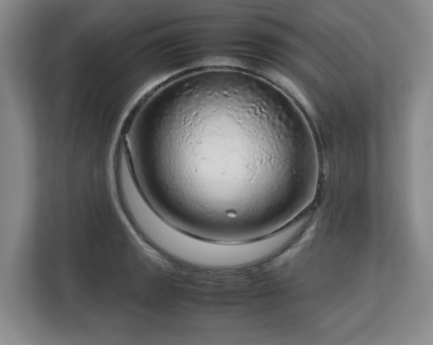 X0000112751133200908271536