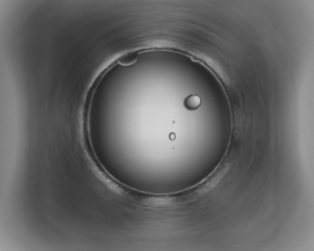 X0000112751134200908271536