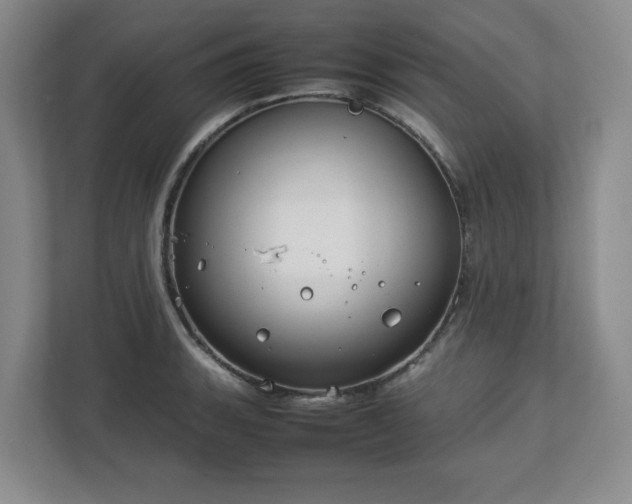 X0000112751135200908271536