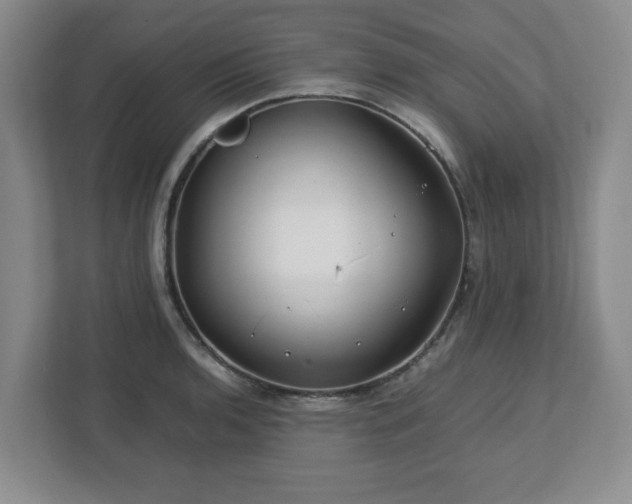 X0000112751136200908271536