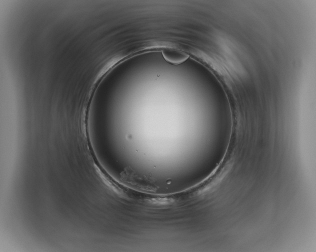 X0000112751137200908271536