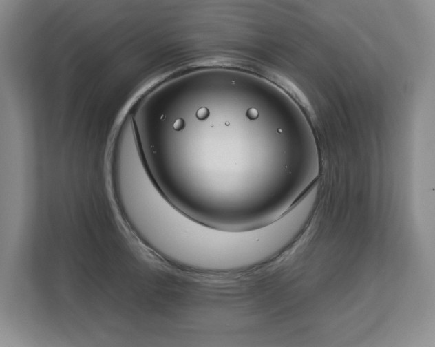 X0000112751138200908271536