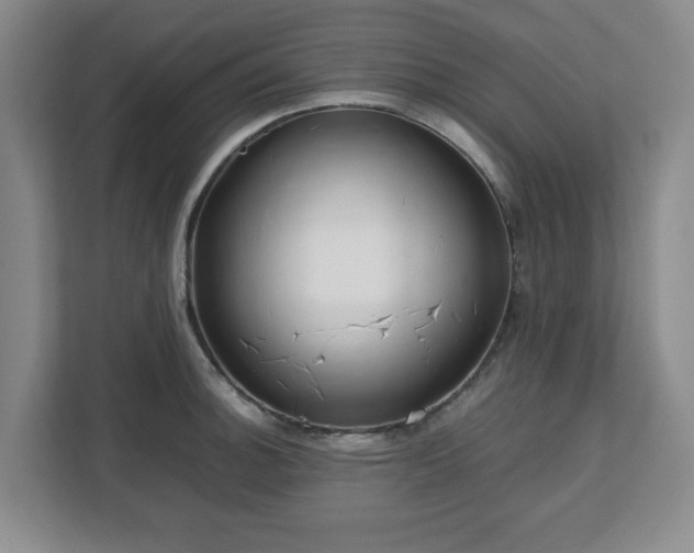 X0000112751140200908271536