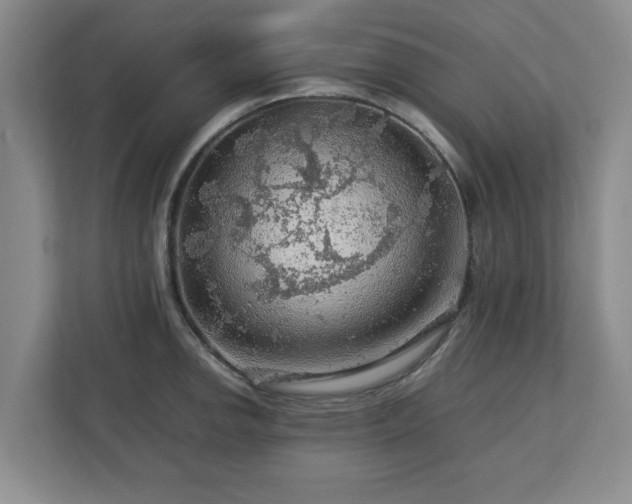 X0000112751142200908271537