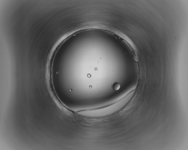 X0000112751144200908271537