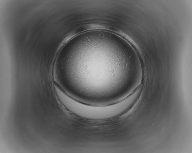 X0000112751145200908271537