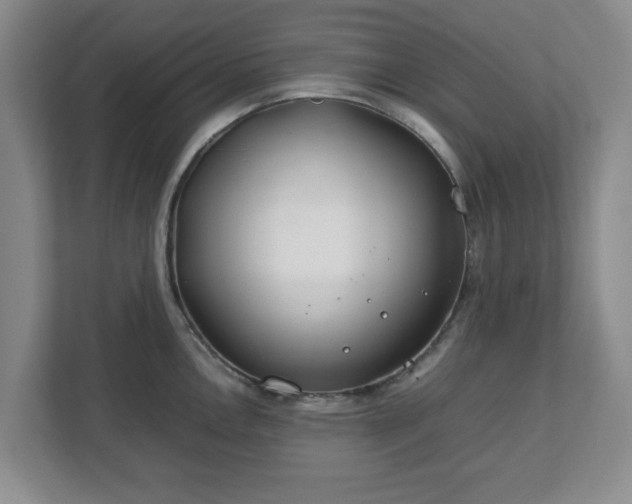 X0000112751146200908271537