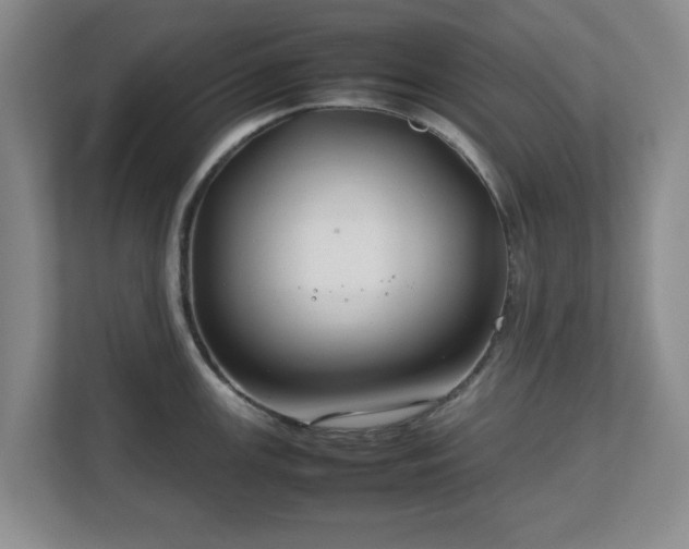 X0000112751147200908271537