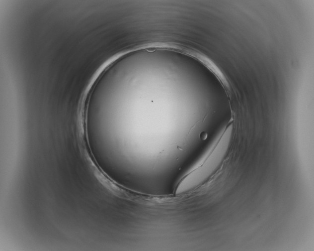 X0000112751148200908271537