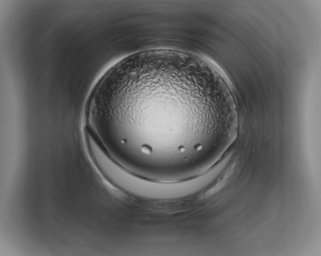 X0000112751149200908271537