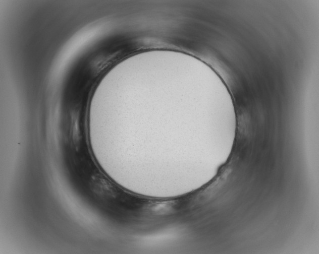 X0000112751150200908271537