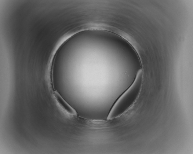 X0000112751152200908271537