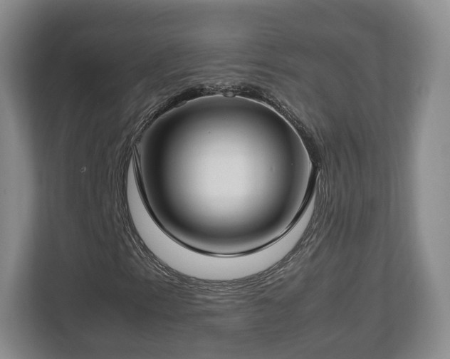 X0000112751153200908271536