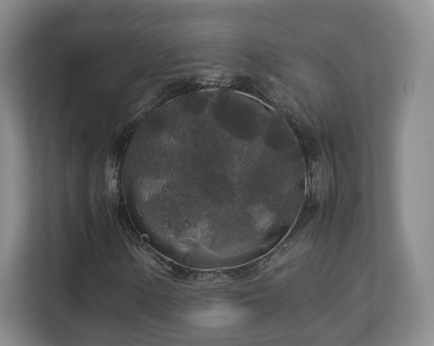 X0000112751154200908271536