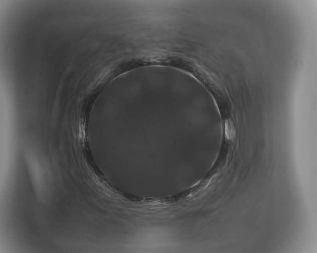 X0000112751155200908271536