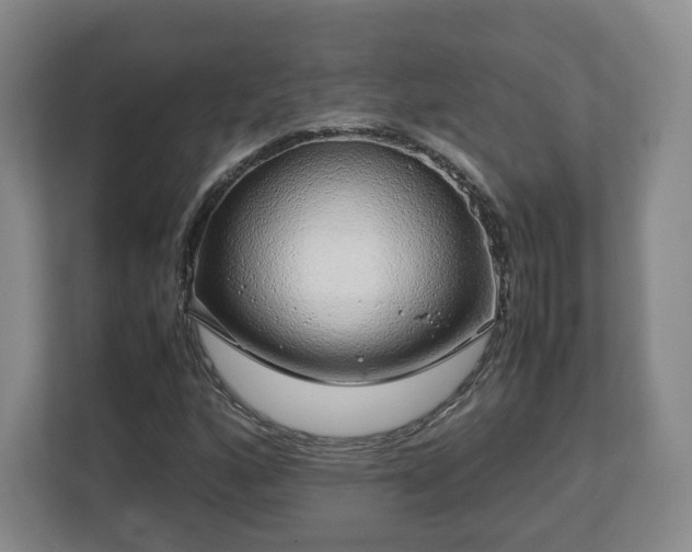 X0000112751160200908271536