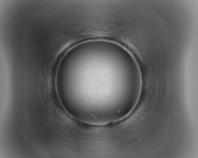 X0000112751163200908271536