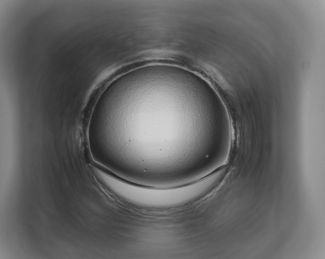 X0000112751164200908271536