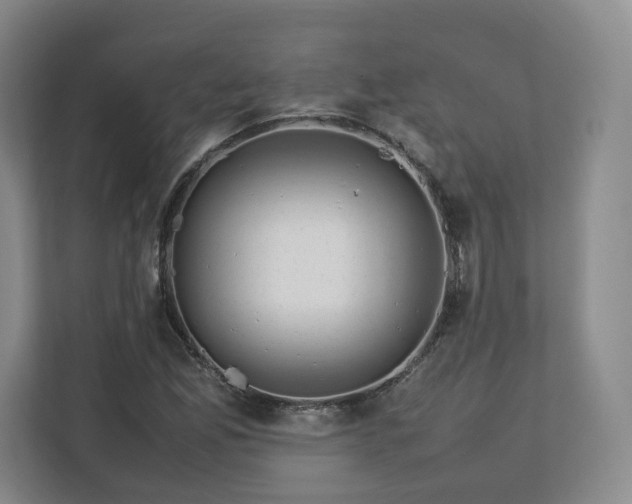 X0000112751165200908271536