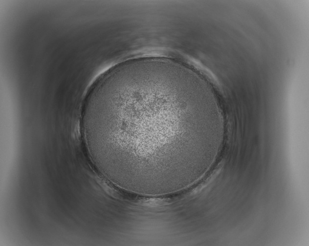 X0000112751166200908271536