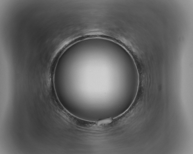 X0000112751167200908271536