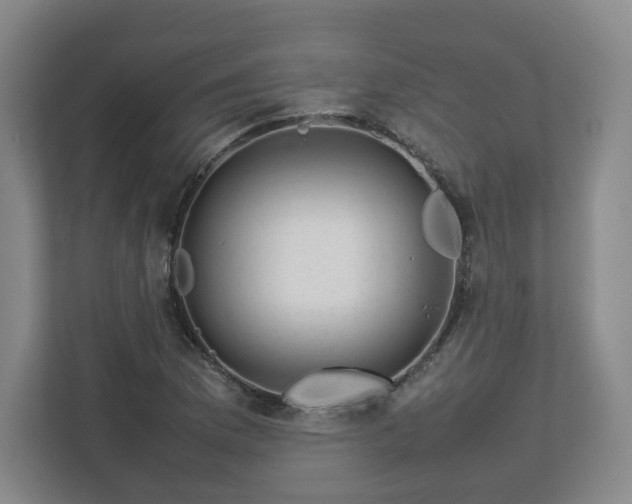 X0000112751169200908271536