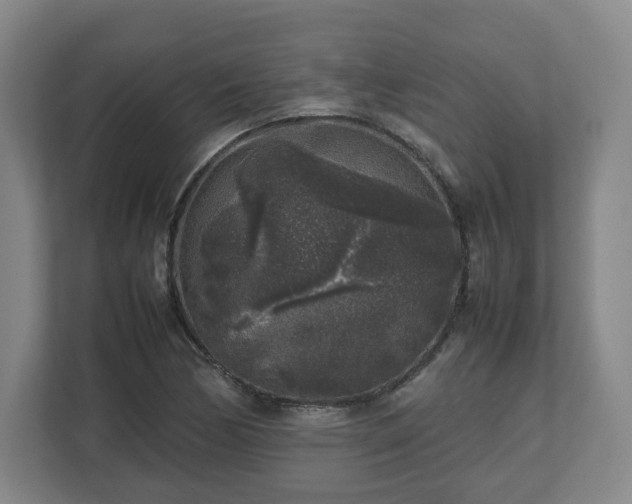 X0000112751170200908271536