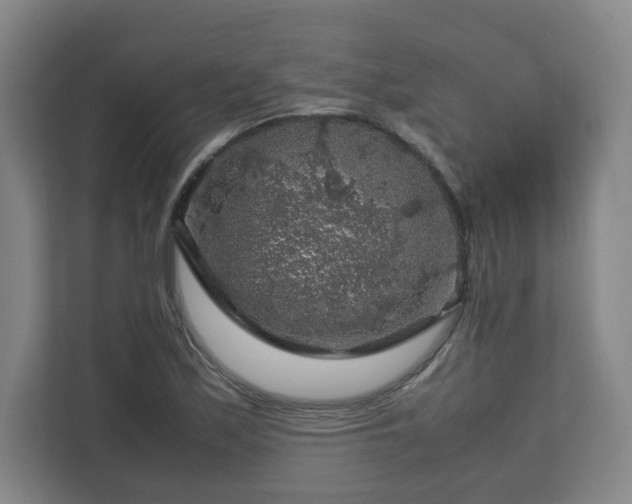 X0000112751171200908271536