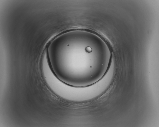 X0000112751173200908271536