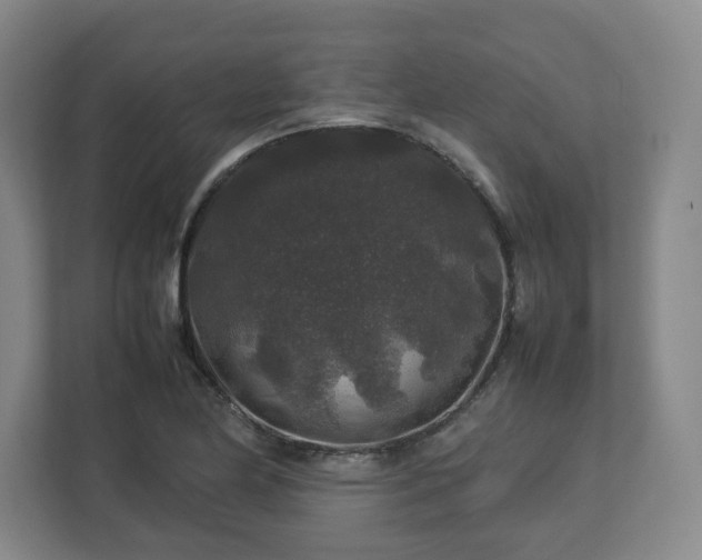 X0000112751174200908271536