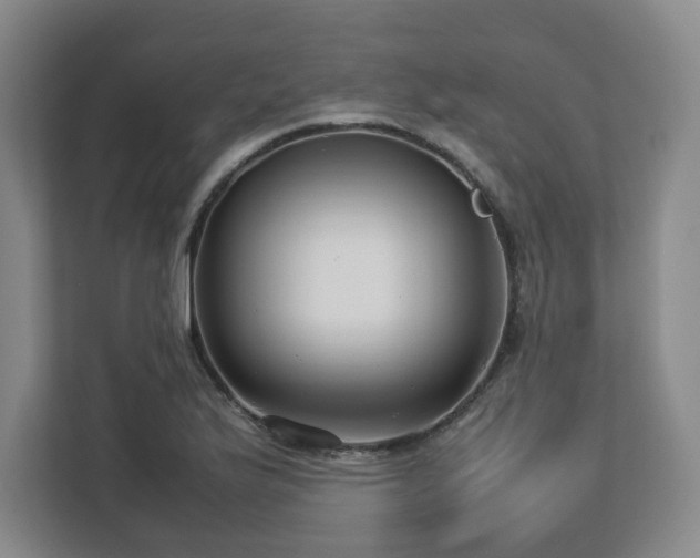 X0000112751175200908271536