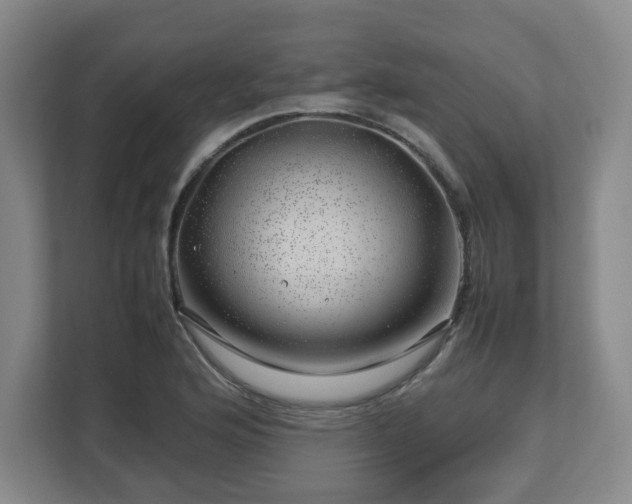 X0000112751176200908271536