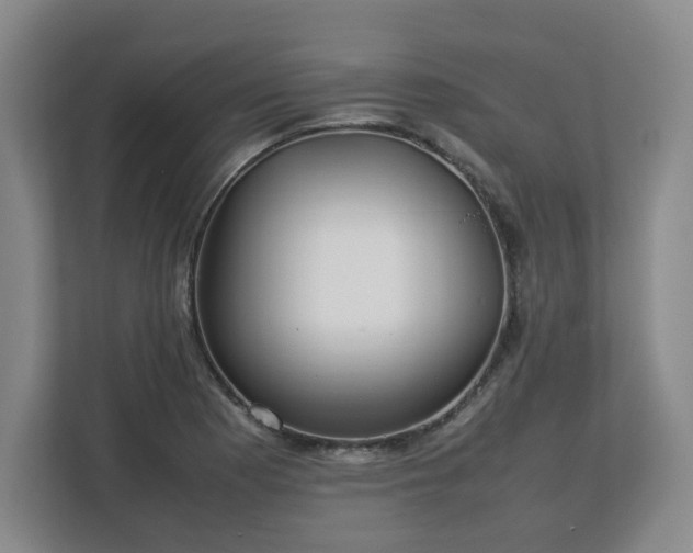 X0000112751177200908271536