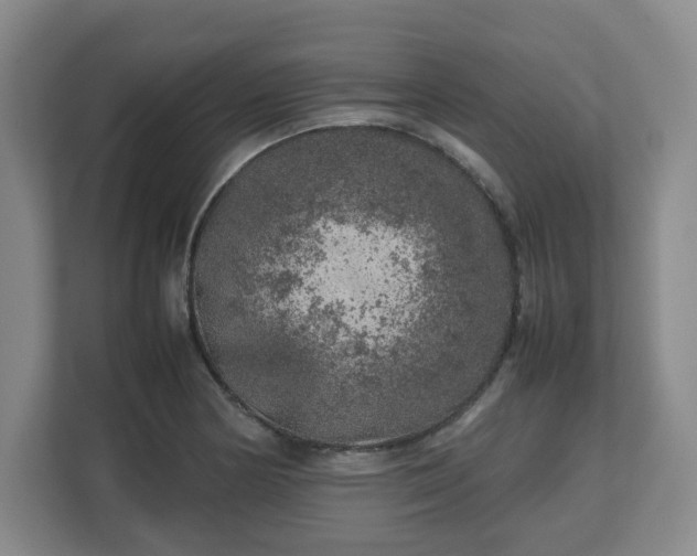 X0000112751178200908271536