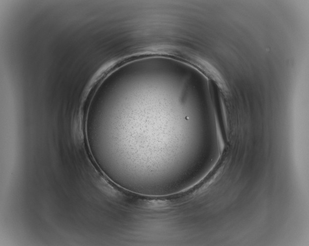 X0000112751180200908271536