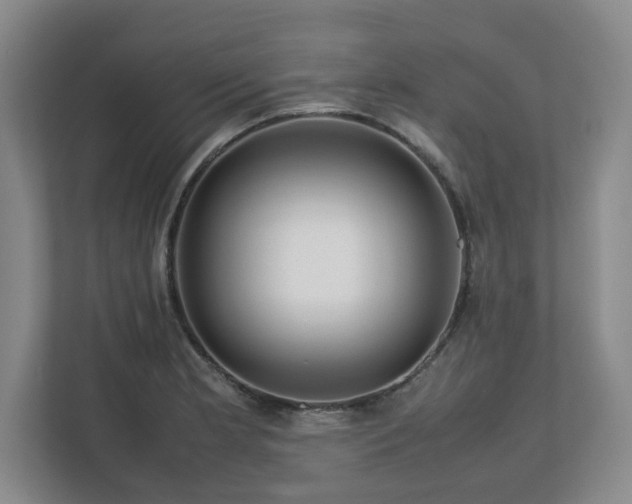 X0000112751181200908271536