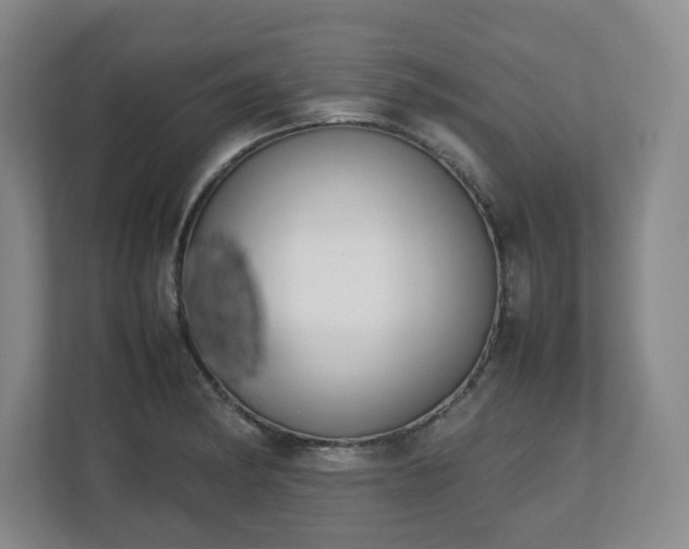 X0000112751182200908271536