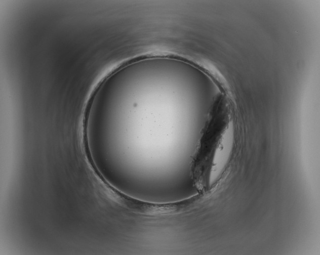 X0000112751183200908271536