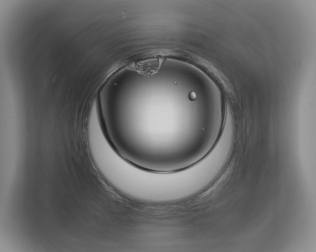 X0000112751185200908271536