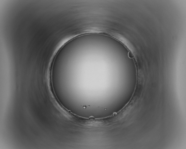 X0000112751187200908271536