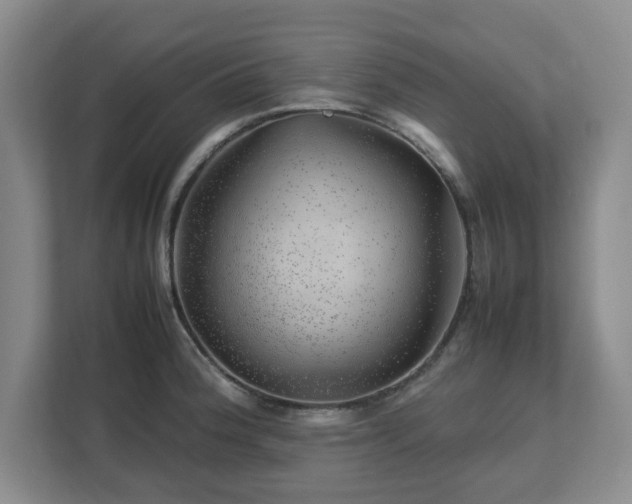 X0000112751188200908271536