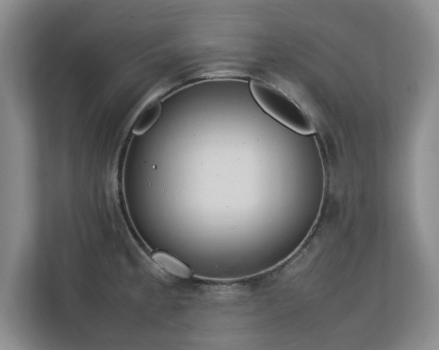 X0000112751189200908271536