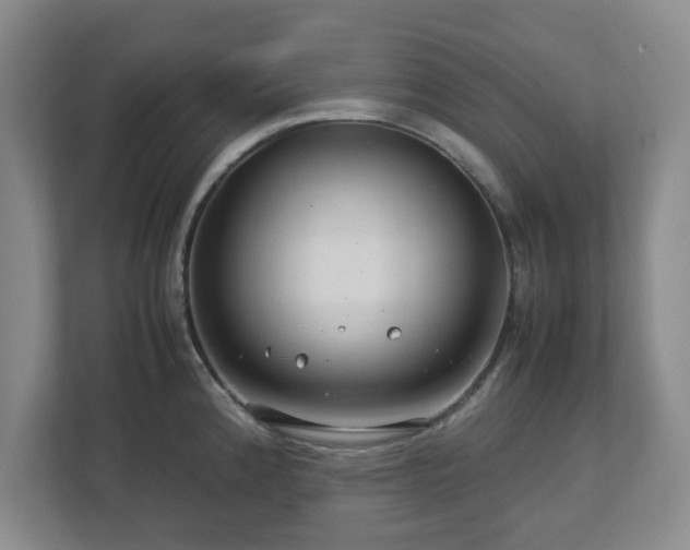 X0000112751192200908271536