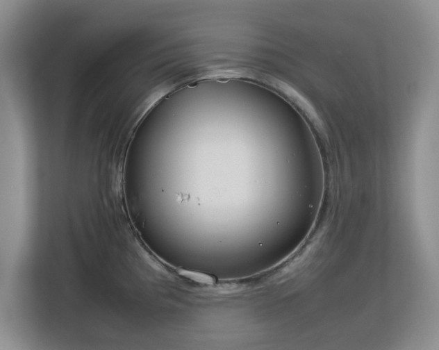 X0000112751193200908271535