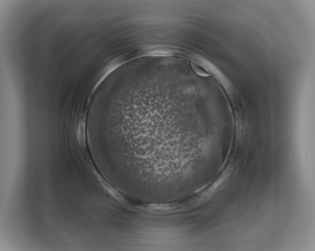 X0000112751194200908271535