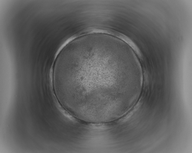 X0000112751198200908271535