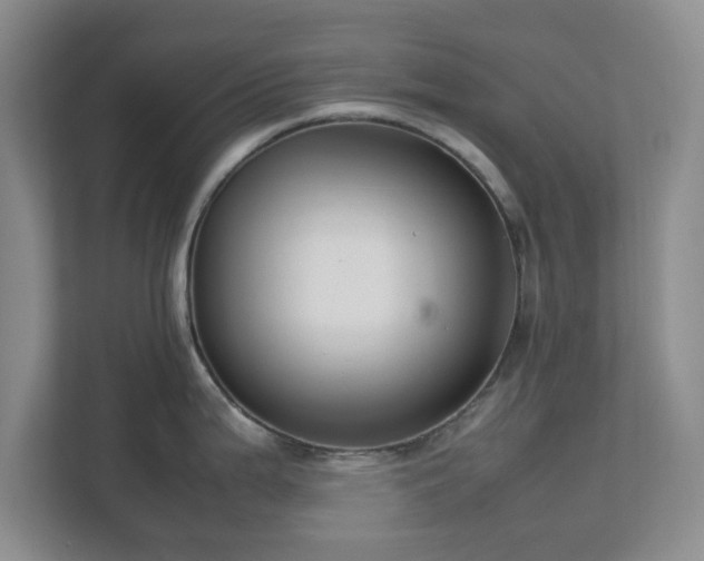 X0000112751199200908271535