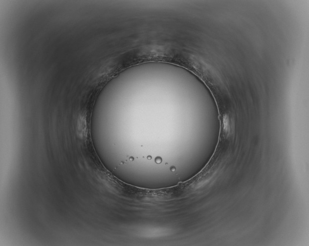 X0000112751203200908271535