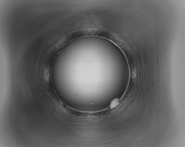 X0000112751204200908271535