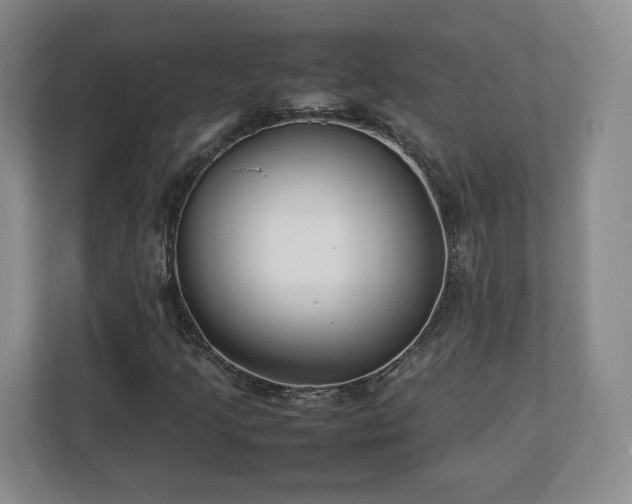 X0000112751205200908271535